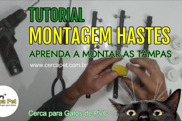 efa3fdaf-4de0-49d1-ba85-24cec45ba0b0